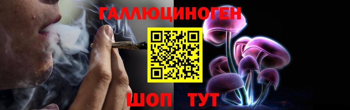 Псилоцибиновые грибы Psilocybine cubensis Сосновоборск